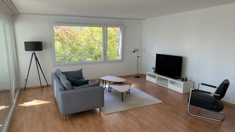 3½ ZI-WOHNUNG IN ZÜRICH - KREIS 11 SEEBACH, MÖBLIERT, TEMPORÄR (1)