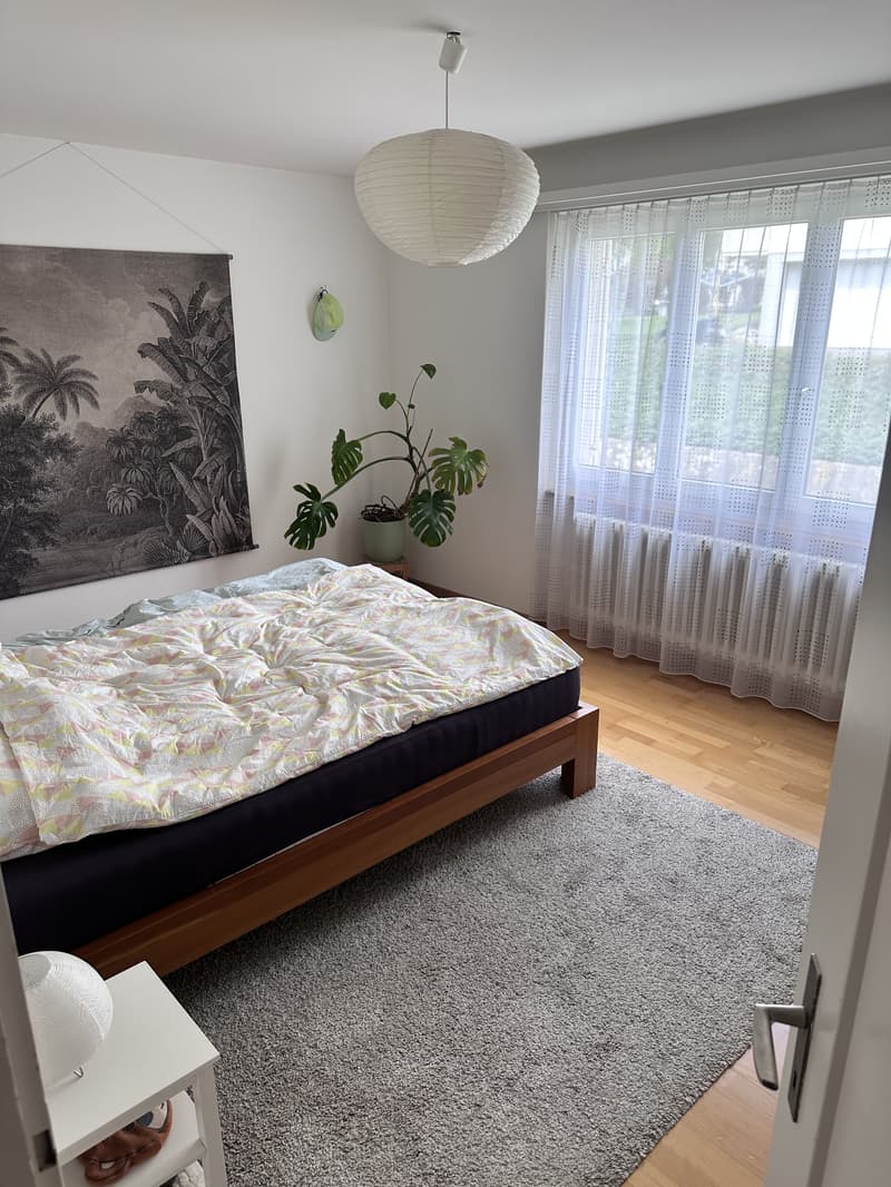 2½ ZI-WOHNUNG IN LUZERN, MÖBLIERT, TEMPORÄR (3)