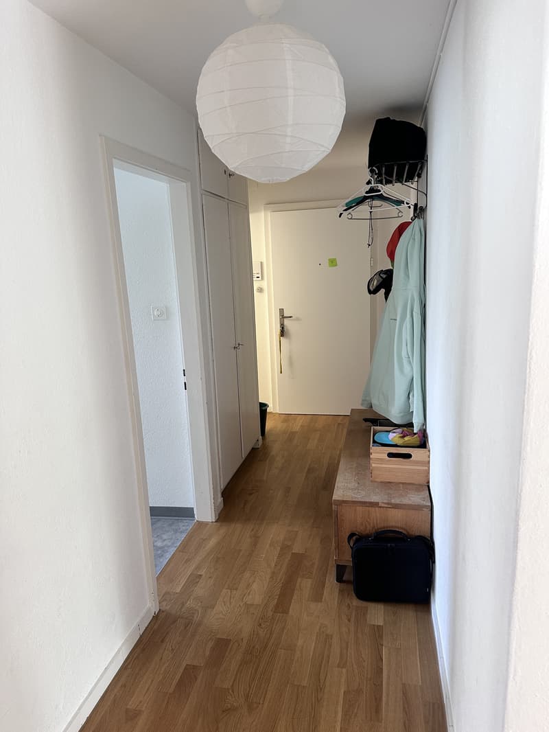 2½ ZI-WOHNUNG IN LUZERN, MÖBLIERT, TEMPORÄR (5)