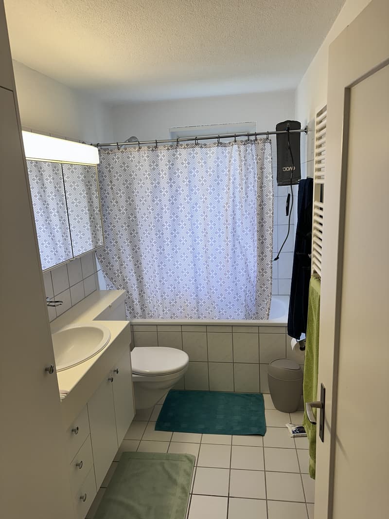 2½ ZI-WOHNUNG IN LUZERN, MÖBLIERT, TEMPORÄR (4)