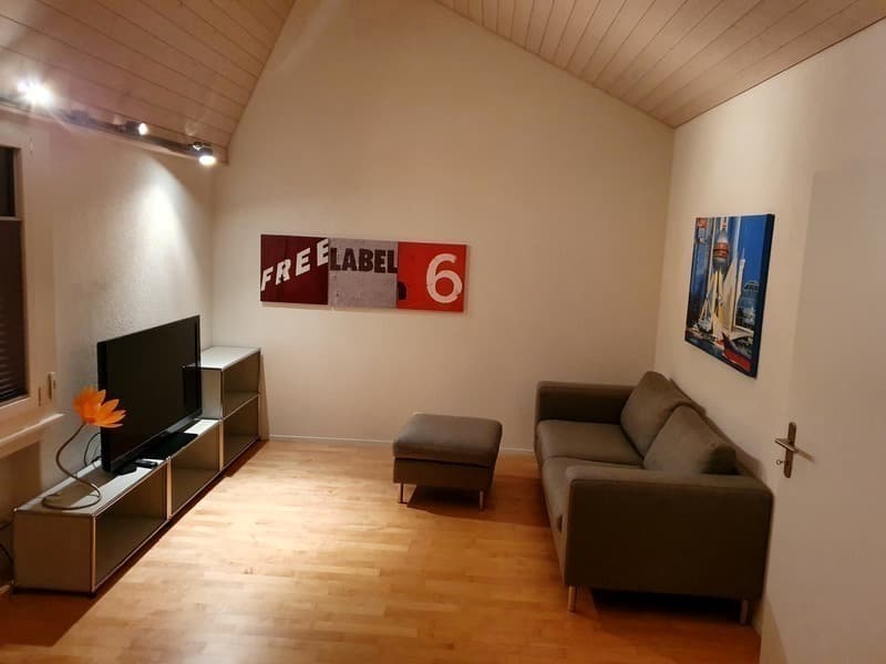 3 ZI-WOHNUNG IN BELP (BE), MÖBLIERT (1)