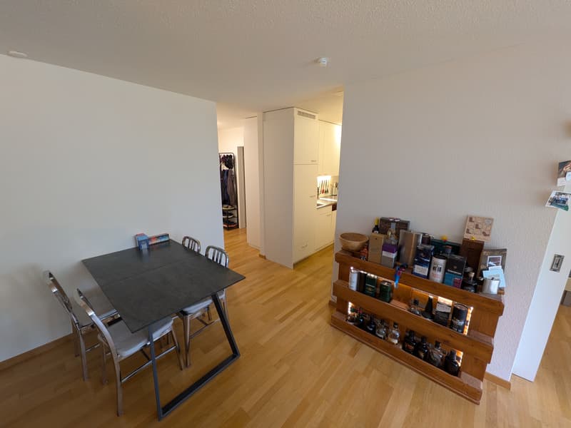 2 ZI-WOHNUNG IN LUZERN, MÖBLIERT, TEMPORÄR (3)