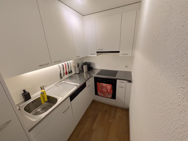 2 ZI-WOHNUNG IN LUZERN, MÖBLIERT, TEMPORÄR (4)