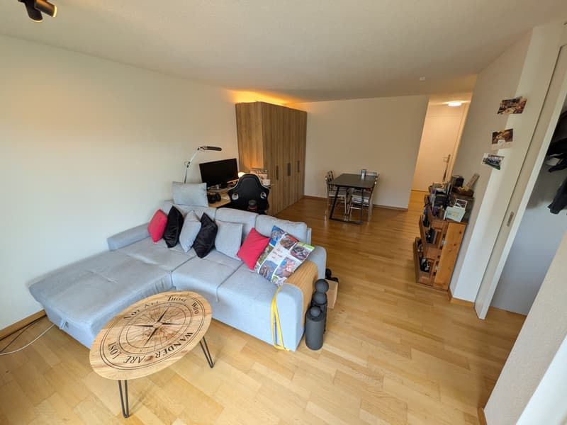2 ZI-WOHNUNG IN LUZERN, MÖBLIERT, TEMPORÄR (1)