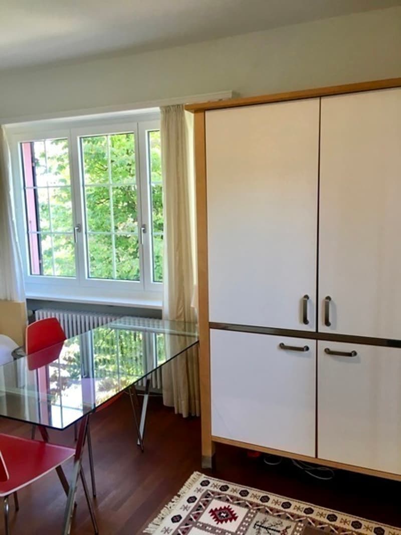 1 ZI-WOHNUNG IN LIESTAL (BL), MÖBLIERT (5)
