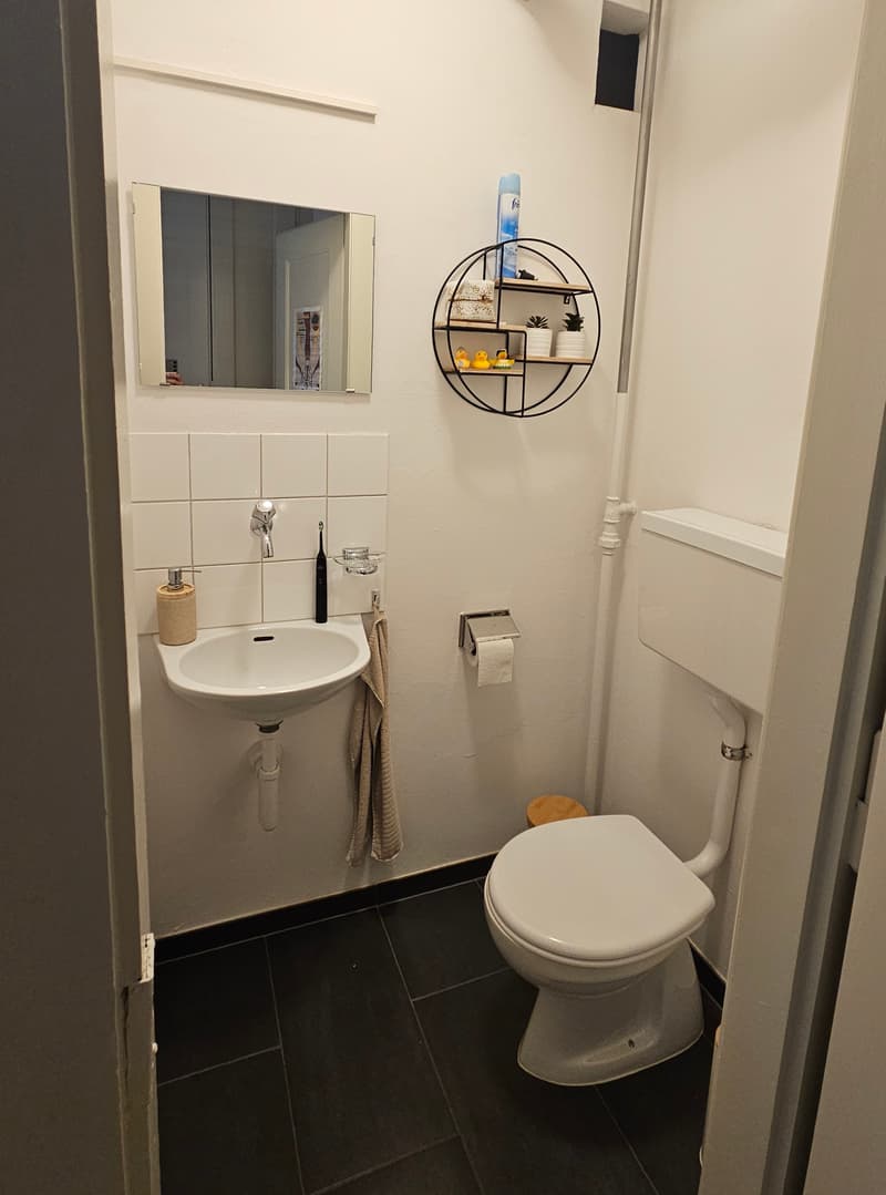 3½ ZI-WOHNUNG IN BERN - LÄNGGASSE, MÖBLIERT, TEMPORÄR (7)