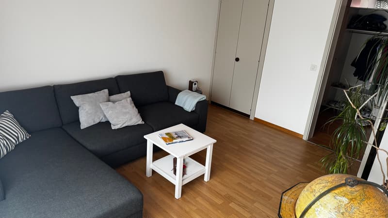 2½ ZI-WOHNUNG IN THUN (BE), MÖBLIERT, TEMPORÄR (2)