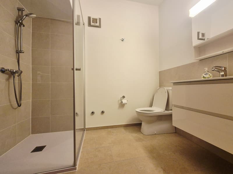 1½ ZI-WOHNUNG IN VACALLO (TI), MÖBLIERT (6)
