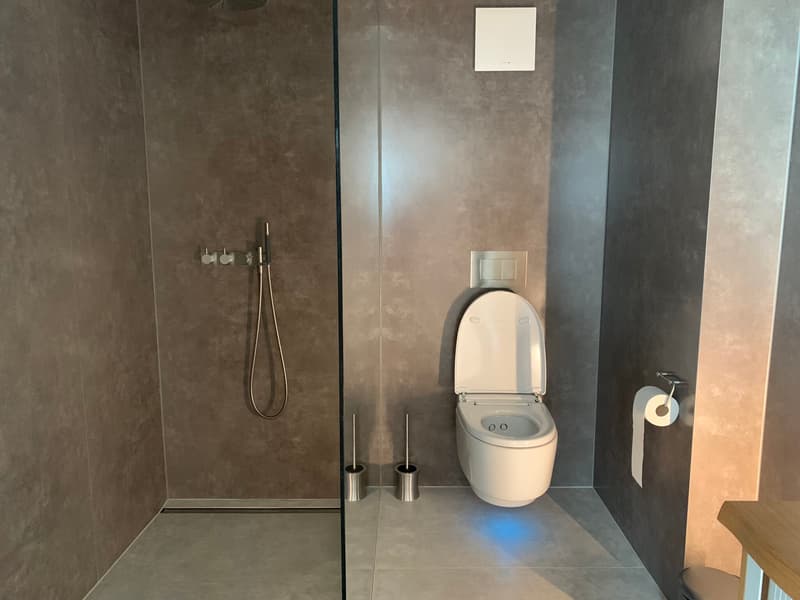 2½ ZI-WOHNUNG IN SIGRISWIL (BE), MÖBLIERT, TEMPORÄR (6)