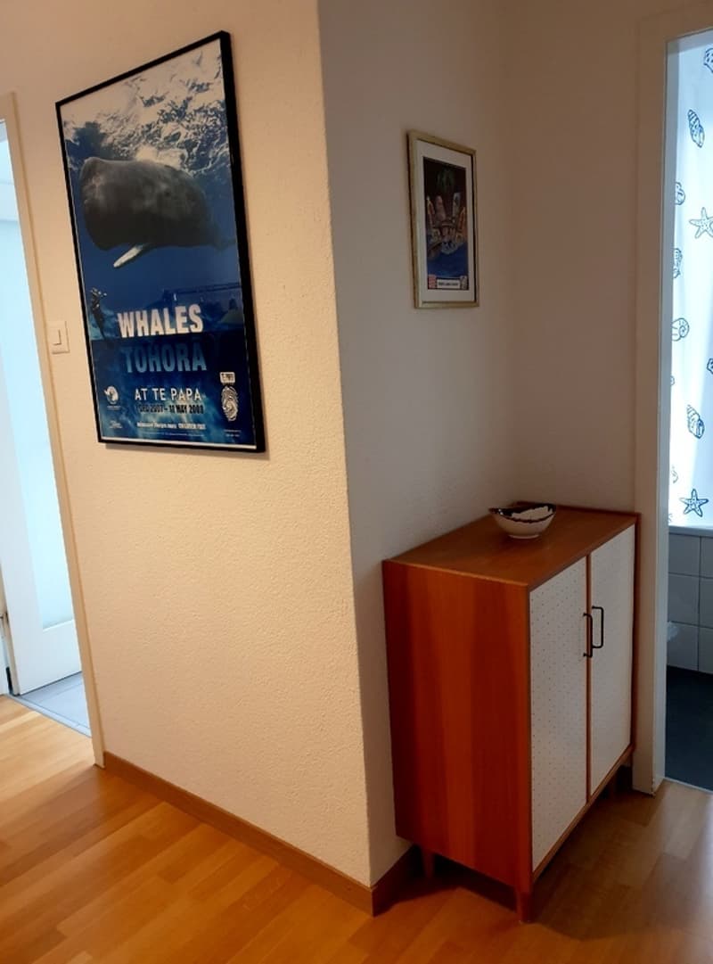 2 ZI-WOHNUNG IN ZÜRICH - KREIS 6 UNTERSTRASS, MÖBLIERT, TEMPORÄR (9)