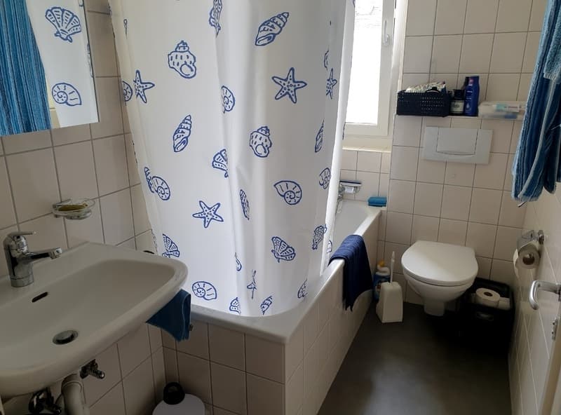 2 ZI-WOHNUNG IN ZÜRICH - KREIS 6 UNTERSTRASS, MÖBLIERT, TEMPORÄR (10)