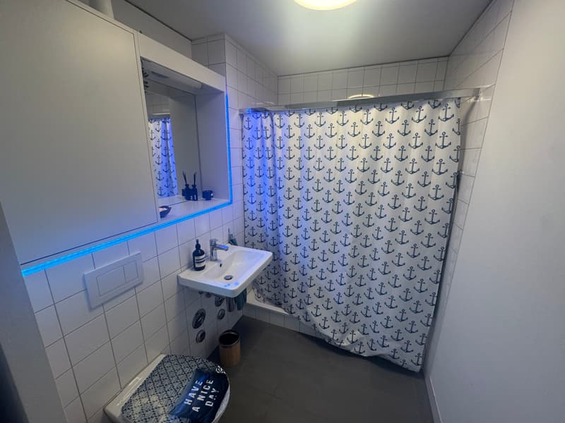 3½ ZI-WOHNUNG IN ZÜRICH - KREIS 9 ALTSTETTEN, MÖBLIERT, TEMPORÄR (6)