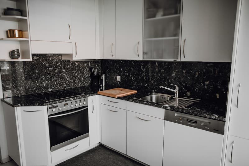 3 ZI-WOHNUNG IN BASEL - GUNDELDINGEN, MÖBLIERT, TEMPORÄR (7)