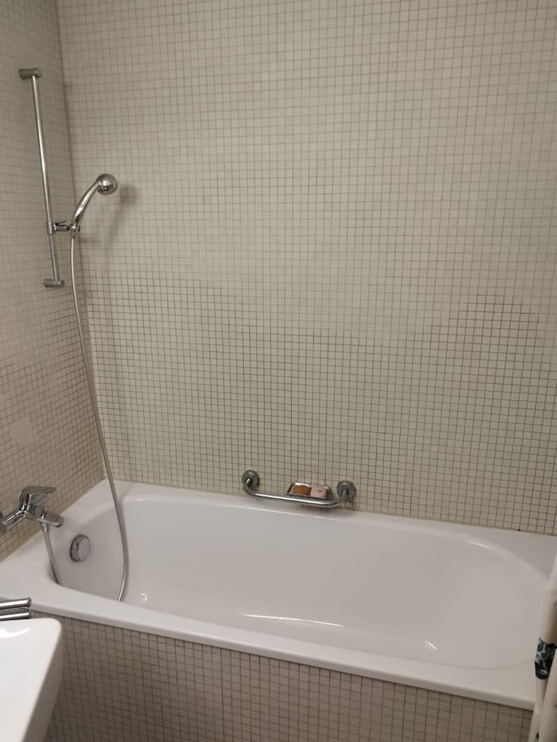 2½ ZI-WOHNUNG IN DIETIKON (ZH), MÖBLIERT, TEMPORÄR (3)