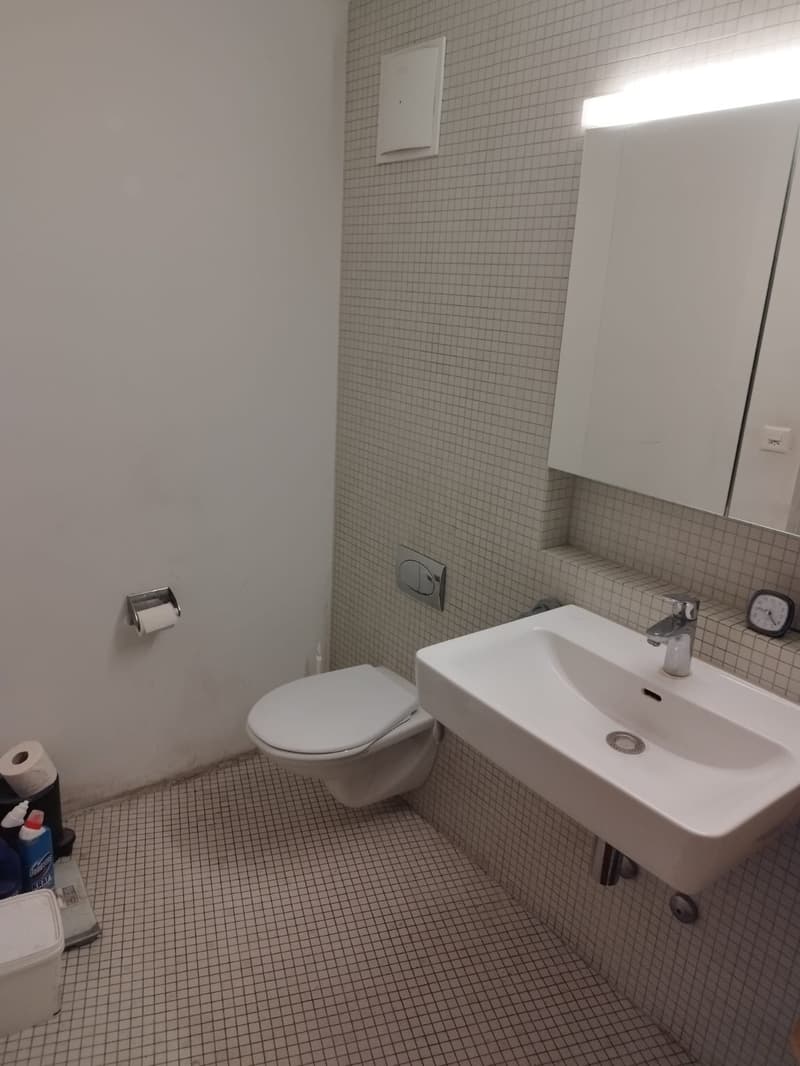 2½ ZI-WOHNUNG IN DIETIKON (ZH), MÖBLIERT, TEMPORÄR (4)