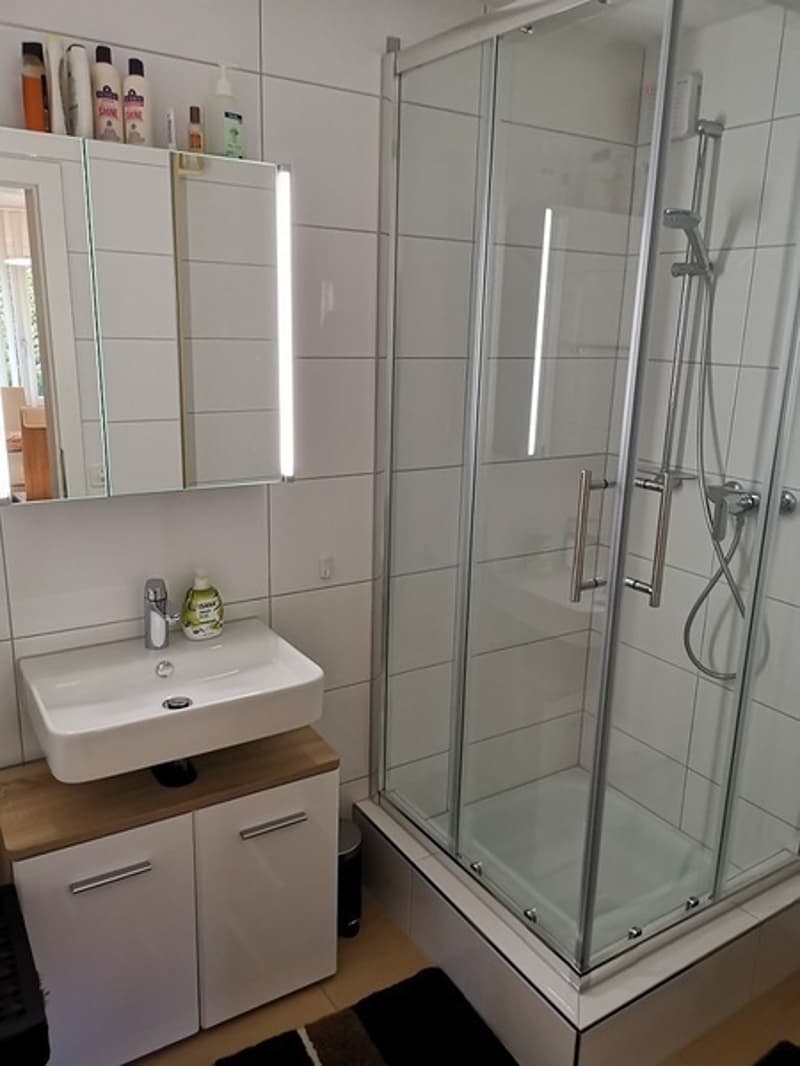 2 ZI-WOHNUNG IN MERLISCHACHEN (SZ), MÖBLIERT, TEMPORÄR (8)
