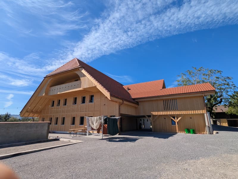 4½ ZI-WOHNUNG IN RÜFENACHT (BE), MÖBLIERT, TEMPORÄR (1)