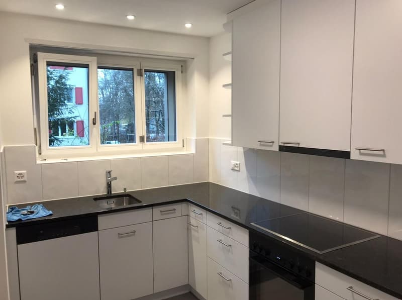 3½ ZI-WOHNUNG IN BERN - AUSSERHOLLIGEN, MÖBLIERT, TEMPORÄR (4)