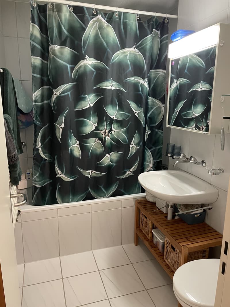 3½ ZI-WOHNUNG IN LUZERN, MÖBLIERT, TEMPORÄR (6)