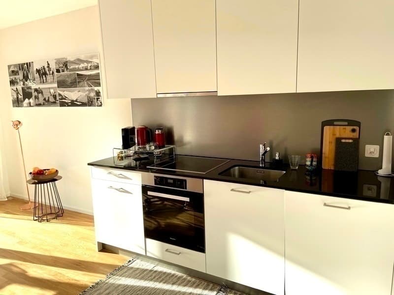 2½ ZI-WOHNUNG IN BASEL - ISELIN, MÖBLIERT, TEMPORÄR (4)