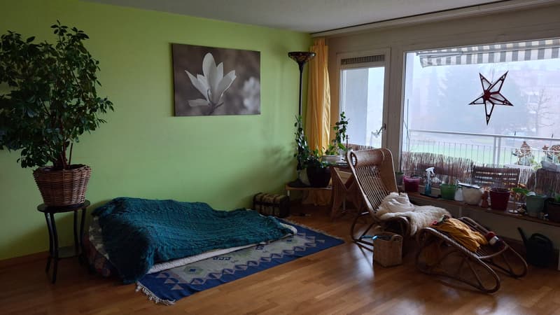 2 ZI-WOHNUNG IN LUZERN, MÖBLIERT, TEMPORÄR (1)