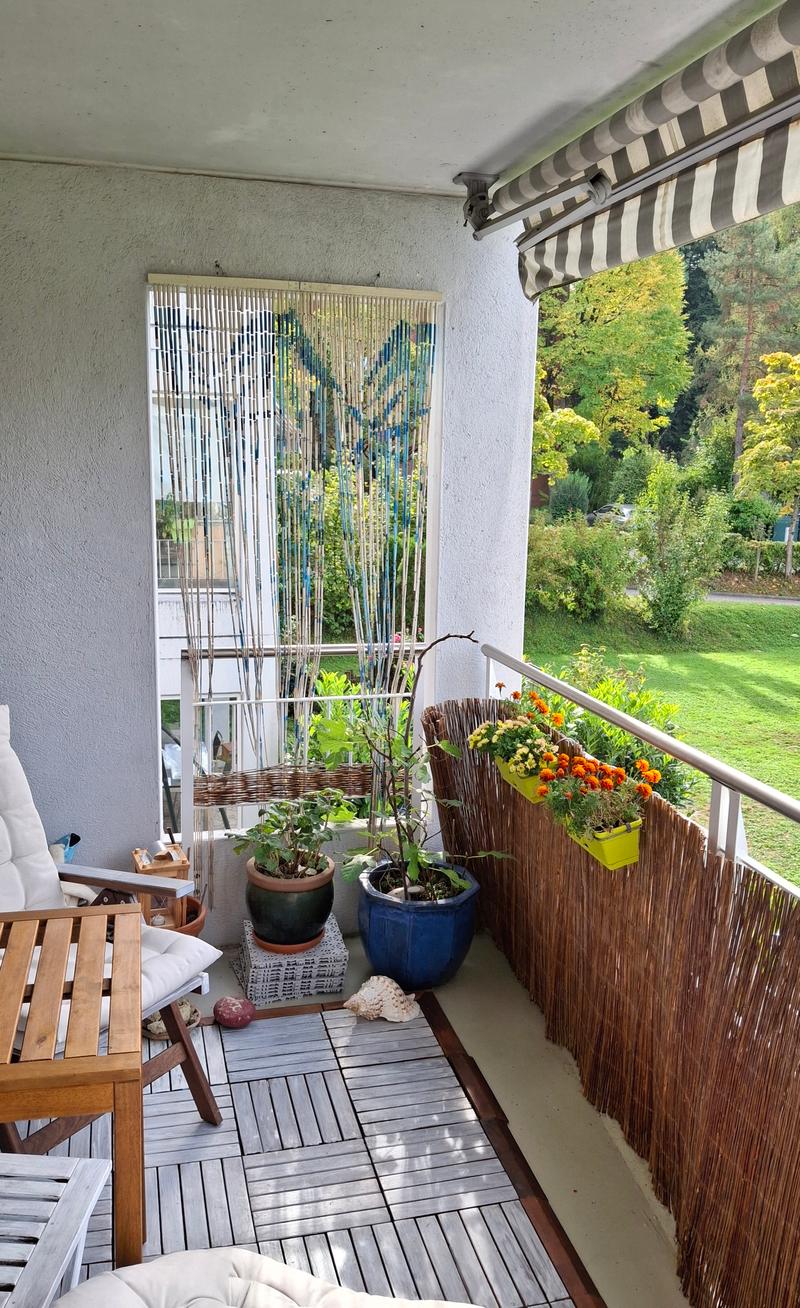 2 ZI-WOHNUNG IN LUZERN, MÖBLIERT, TEMPORÄR (7)