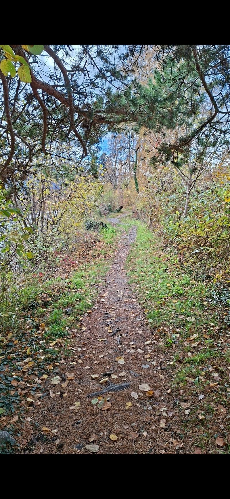 FÜR KATZENLIEBHABER IN FELSBERG (GR), MÖBLIERT, TEMPORÄR (7)
