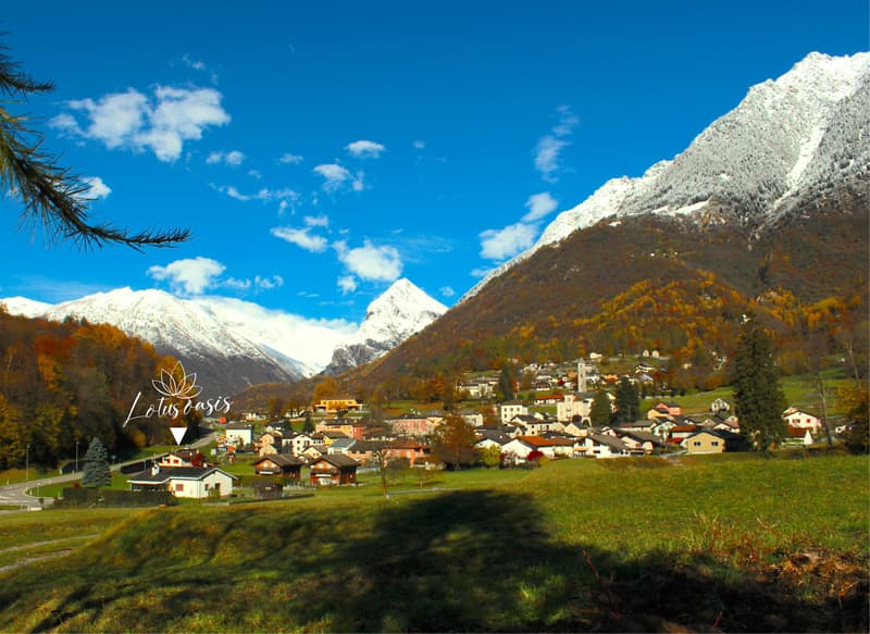 2½ ZI-WOHNUNG IN TORRE (TI), MÖBLIERT, TEMPORÄR (10)