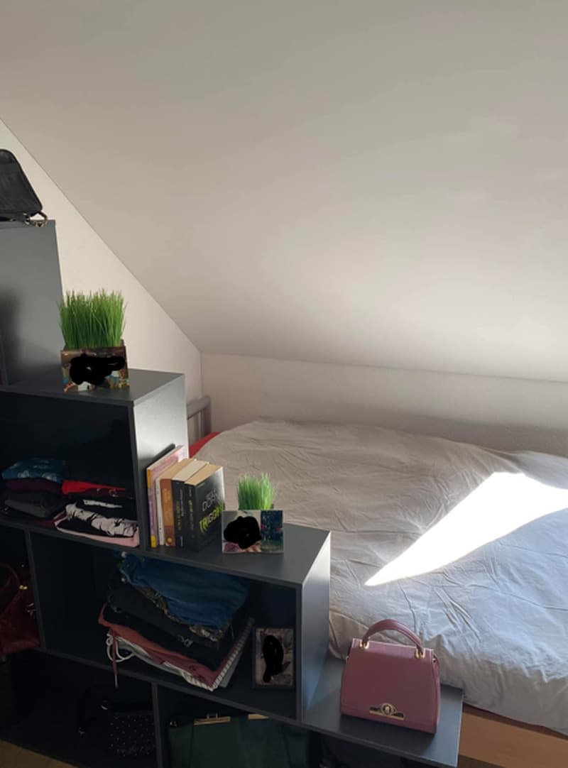 3½ ZI-WOHNUNG IN EMBRACH (ZH), MÖBLIERT, TEMPORÄR (6)