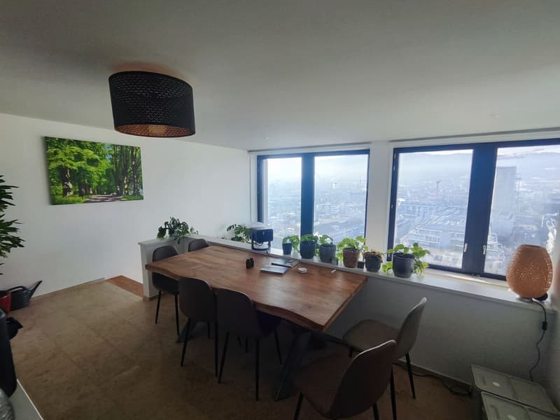 3½ ZI-WOHNUNG IN ZÜRICH - KREIS 9 ALTSTETTEN, MÖBLIERT, TEMPORÄR (8)