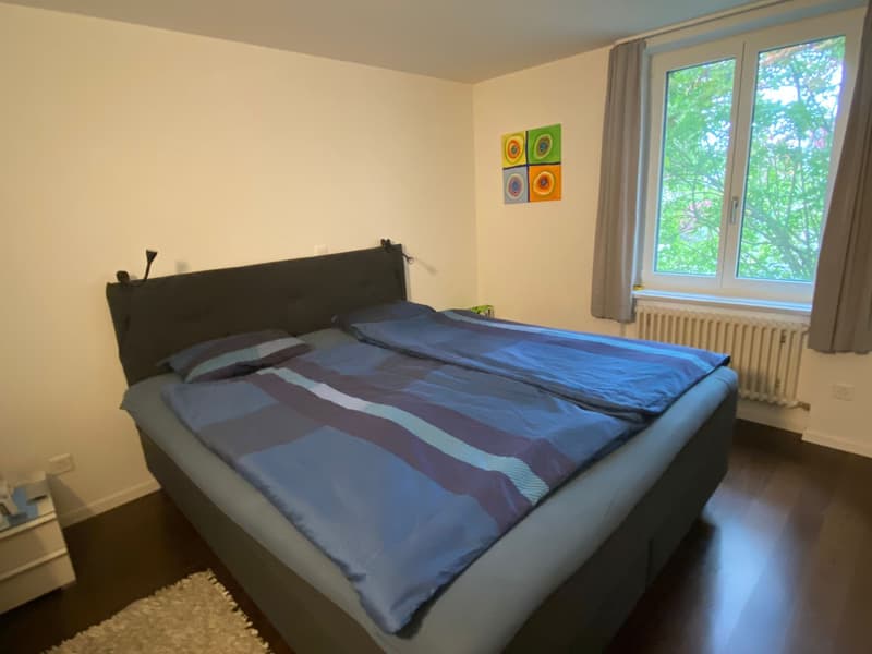 6½ ZI-WOHNUNG IN METTMENSTETTEN (ZH), MÖBLIERT, TEMPORÄR (6)