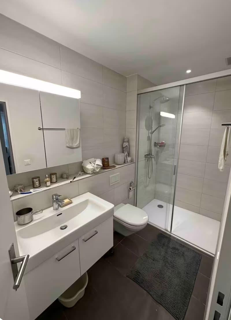 2½ ZI-WOHNUNG IN LIESTAL (BL), MÖBLIERT, TEMPORÄR (8)