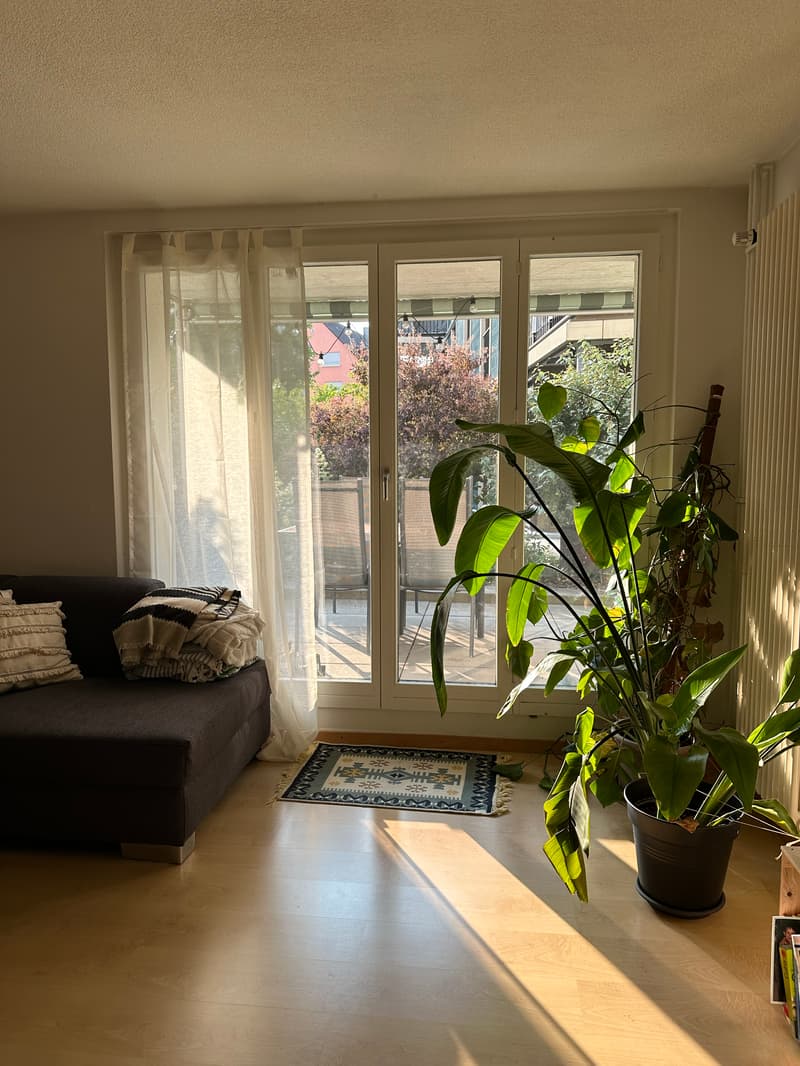 3 ZI-WOHNUNG IN ZÜRICH - KREIS 3, MÖBLIERT, TEMPORÄR (3)