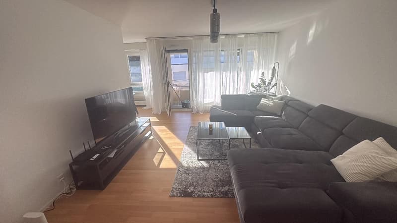 2 ZI-WOHNUNG IN BASEL - GUNDELDINGEN, MÖBLIERT, TEMPORÄR (1)