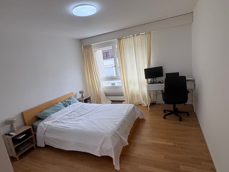 2 ZI-WOHNUNG IN BASEL - GUNDELDINGEN, MÖBLIERT, TEMPORÄR (8)