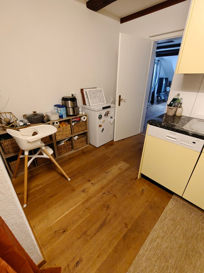 2½ ZI-WOHNUNG IN THUN (BE), MÖBLIERT, TEMPORÄR (3)