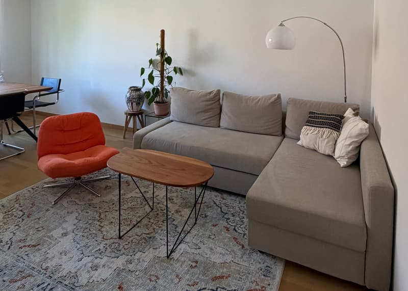 3½ ZI-WOHNUNG IN BERN - AUSSERHOLLIGEN, MÖBLIERT, TEMPORÄR (1)