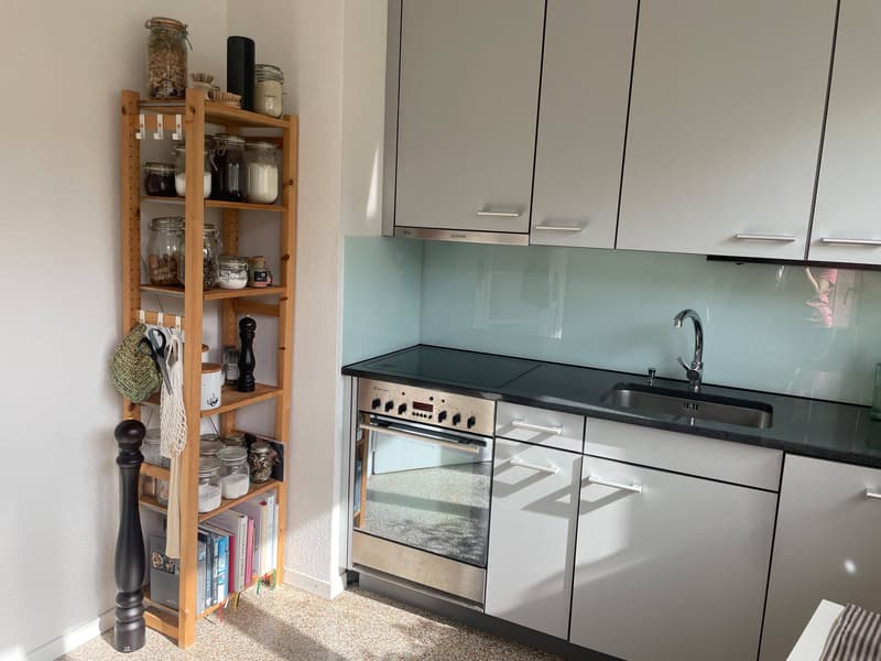 3½ ZI-WOHNUNG IN BERN - SULGENAU, MÖBLIERT, TEMPORÄR (5)