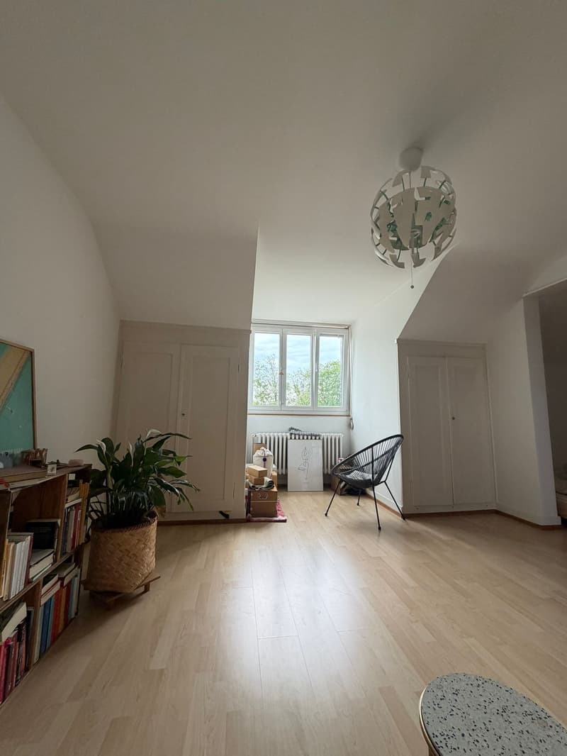 1½ ZI-WOHNUNG IN BERN - FISCHERMÄTTELI, MÖBLIERT, TEMPORÄR (2)