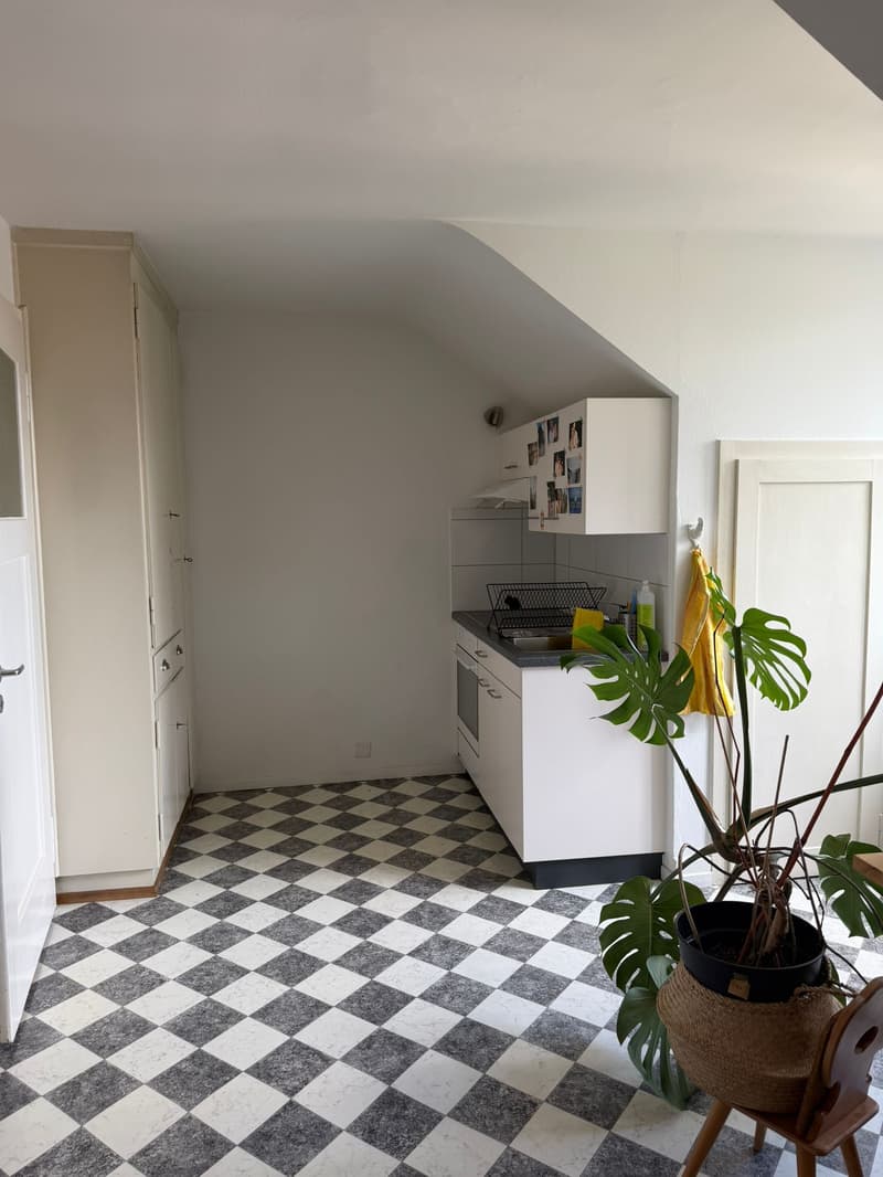 1½ ZI-WOHNUNG IN BERN - FISCHERMÄTTELI, MÖBLIERT, TEMPORÄR (3)