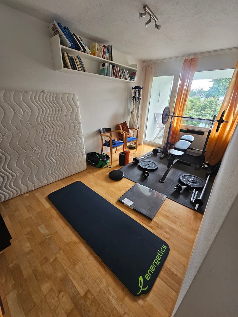 4 ZIMMER-HAUS IN FREIDORF (TG), MÖBLIERT (6)