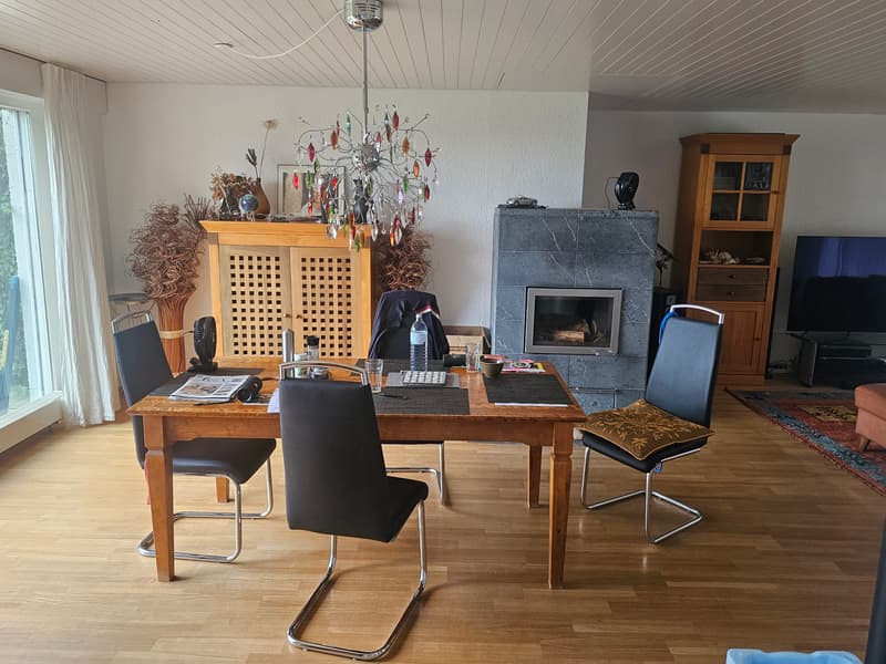 4 ZIMMER-HAUS IN FREIDORF (TG), MÖBLIERT (1)