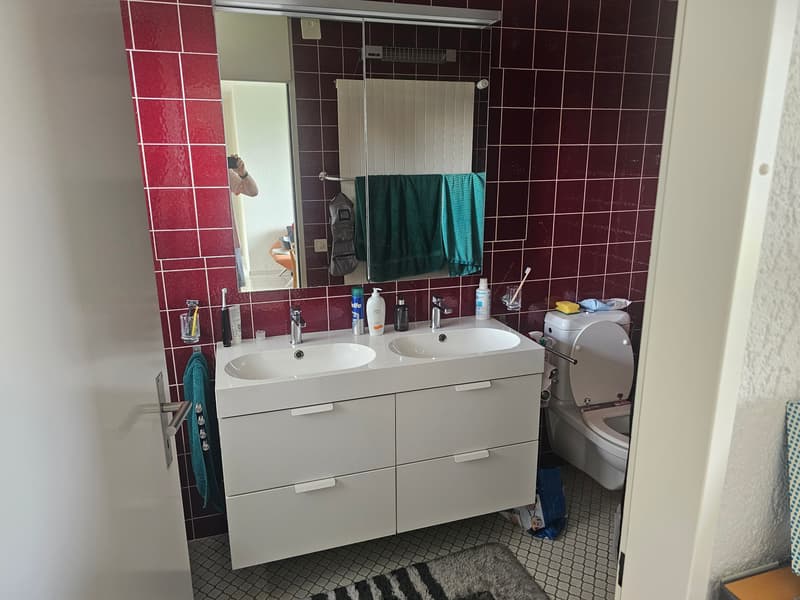 4 ZIMMER-HAUS IN FREIDORF (TG), MÖBLIERT (7)
