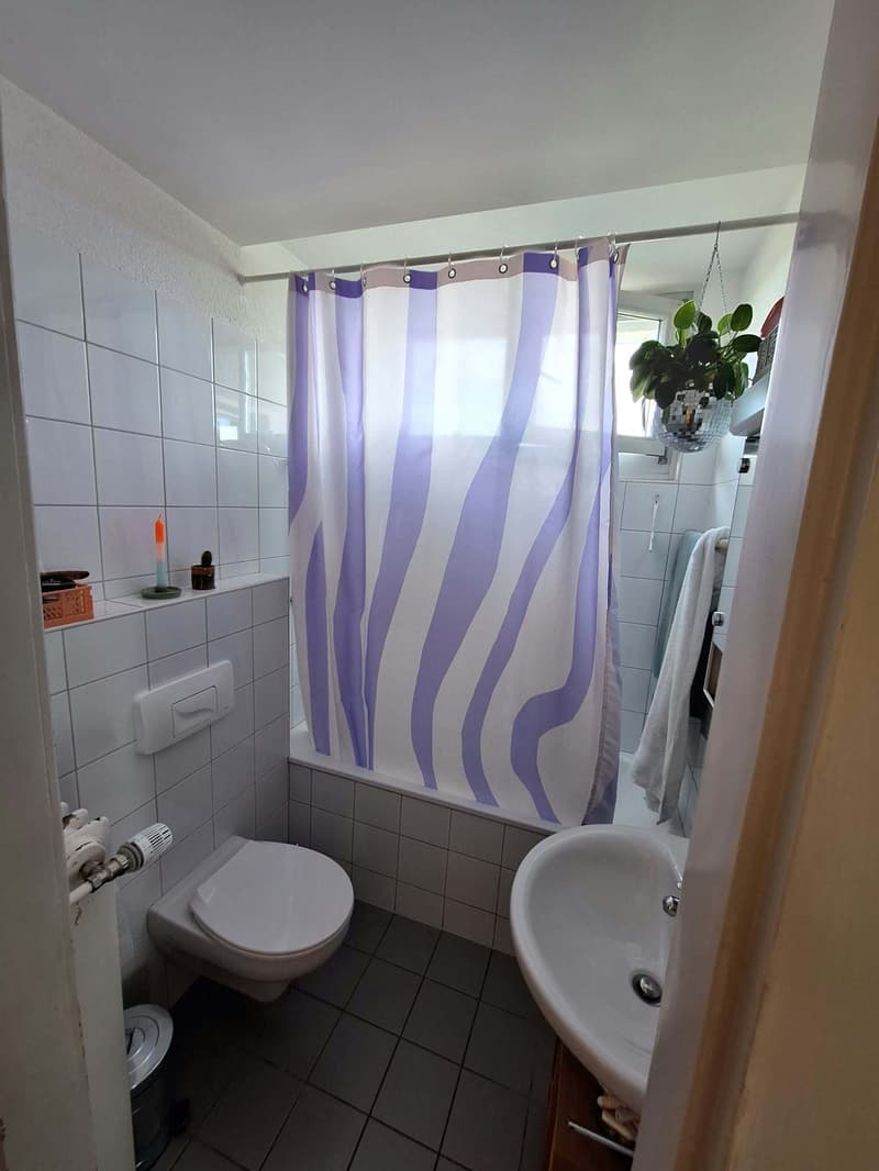 3 ZI-WOHNUNG IN BERN - BREITENRAIN, MÖBLIERT, TEMPORÄR (7)