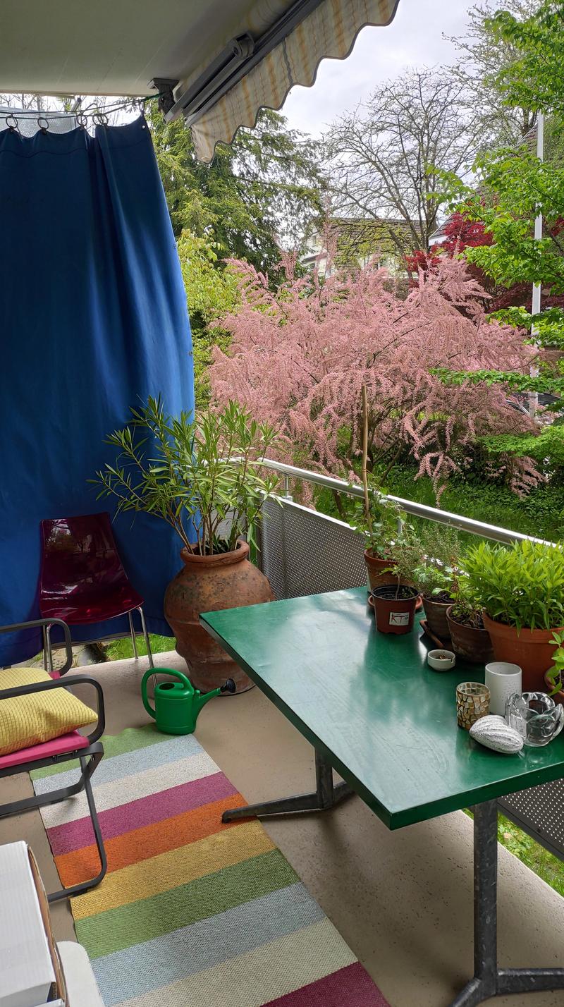 4 ZI-WOHNUNG IN BERN - ELFENAU/BRUNNADERN, MÖBLIERT, TEMPORÄR (8)