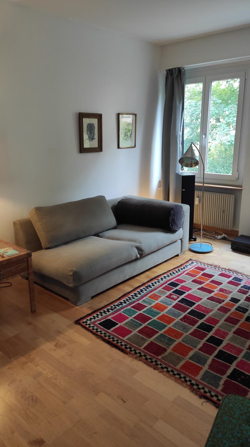 4 ZI-WOHNUNG IN BERN - ELFENAU/BRUNNADERN, MÖBLIERT, TEMPORÄR (4)