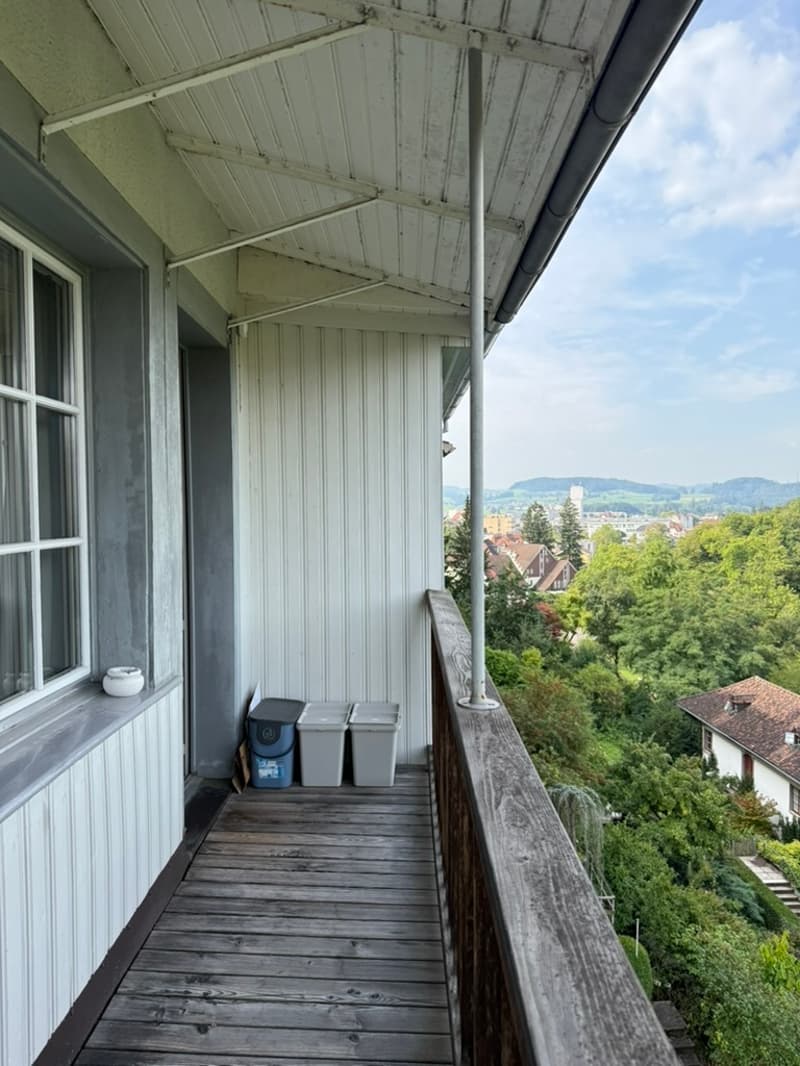 2½ ZI-WOHNUNG IN WIL - ST. GALLEN (SG), MÖBLIERT, TEMPORÄR (10)