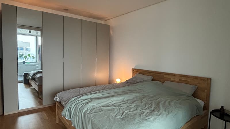 1½ ZI-WOHNUNG IN ZÜRICH - KREIS 9 ALTSTETTEN, MÖBLIERT, TEMPORÄR (3)
