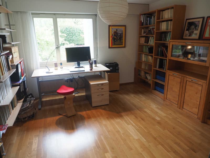 3½ ZI-WOHNUNG IN WINTERTHUR - SEEN, MÖBLIERT, TEMPORÄR (3)