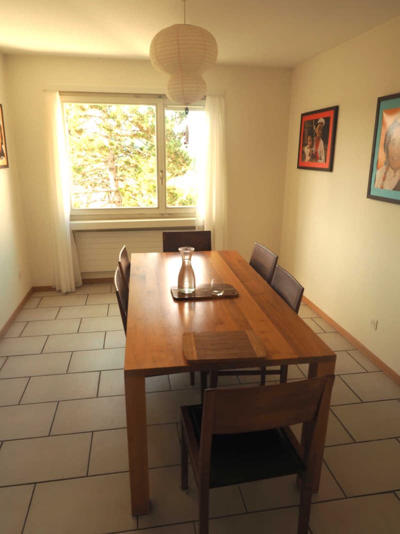 3½ ZI-WOHNUNG IN WINTERTHUR - SEEN, MÖBLIERT, TEMPORÄR (2)